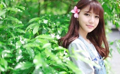 日本一本道手机在线dvd